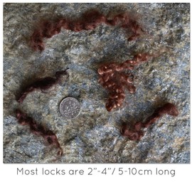 Real Mohair Locks. Organic Hand Dyed Wool Fiber for Doll Hair and Wigs, Felting, Blending, Spinning, Wallhangings and Embellishments. Brown, 1 Ounce (28g)