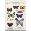 Yuya - Republic Cosmetics Set de Sombras "Metamorfosis" con 18
