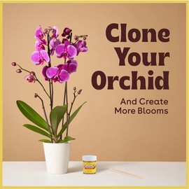 Berkland Orchid Keiki Paste for Plants to Clone & Create New Growth - 2X The Paste - Rapid Start Cloning Gel for Plants - 0.5oz