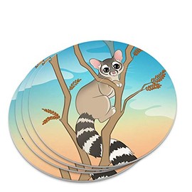 Ring-tailed Cat Novelty Coaster Set