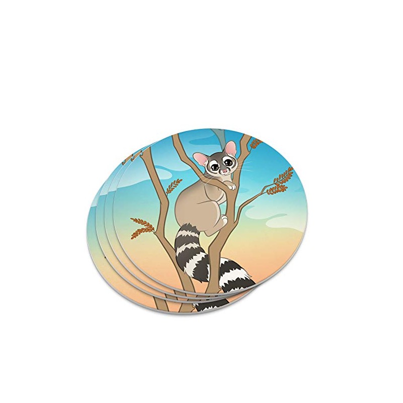 Ring-tailed Cat Novelty Coaster Set
