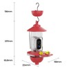 Ant Moat and Pole Mounted Kit for Hummingbird Feeder