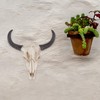 Wakauto 1PCS Skull Wall Hanging Long Horn Cow Skull Creative