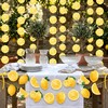 Yellow Lemon Banner Citrus Hanging Garlands Lemonade Party Decorations