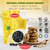 Sunbest Natural Jumbo Black Raisins – 5 lb Bulk Bag