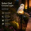 Solar Owl Garden Stake Light for Outdoor Décor – LED