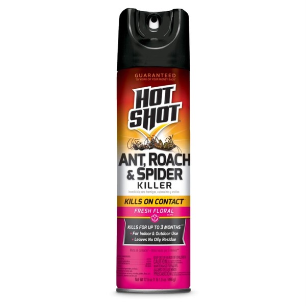 Hot Shot Ant, Roach & Spider Killer, Kills Insects Indoors and Outdoors, Kills Roaches and Listed Ants On Contact, Insecticide Spray, 17.5 Ounce