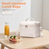 NOL Natural Organic Lifestyle Insulated Lunch Bags for Women Cooler