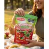 Gomitas Sandia Rebanada De Grenetina Sansabor Chomitas 1kg