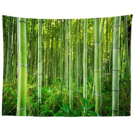 Loccor Bamboo Forest Tapestry Arashiyama Green Bamboo Trees near Kyoto Japan Natural Forest Wall Hanging for Home Wall Decor 106''x70''