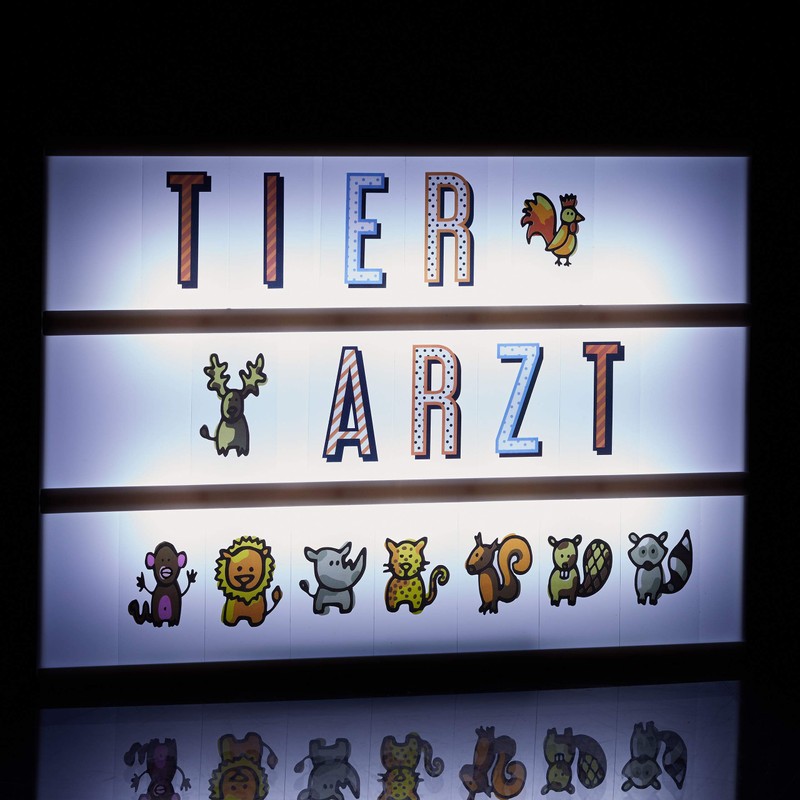 Relaxdays Lightbox Supplement Set 240 Crazy Characters with Letter and