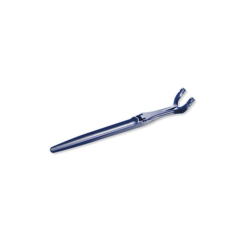 Floss Holder Fuchs / Holder + Floss (166.2 ft (50