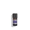 L'Occitane Protected Designation of Origin Lavender Essential Oil from Haute-Provence,