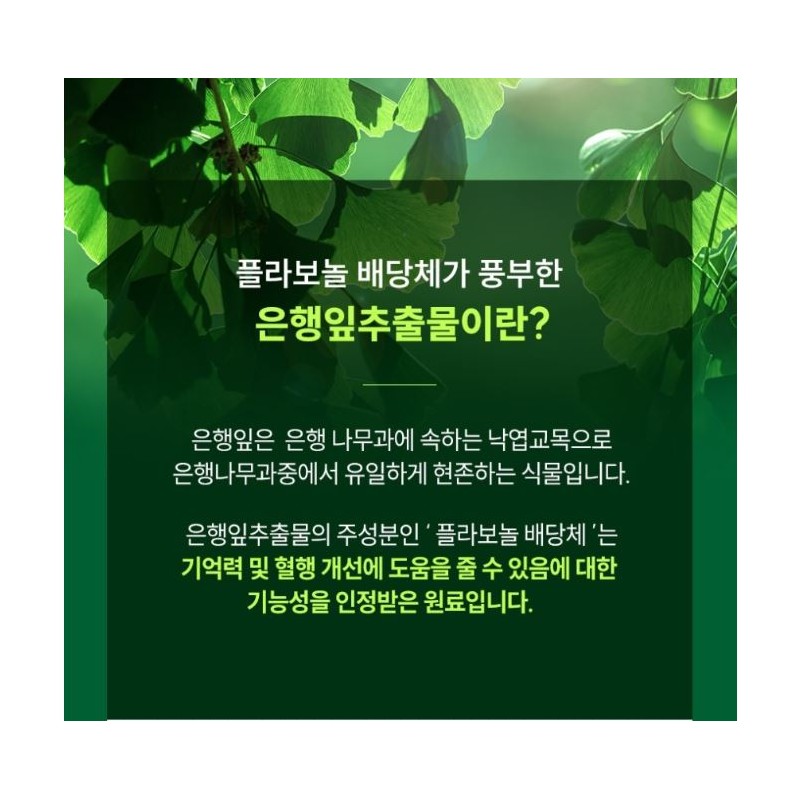 I&U Networks Premium Magnesium Gingko Memory Improvement Blood Circulation Health