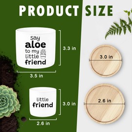 Say Aloe to My Little Friend Funny Succulents Plant Pots, Ceramic Cactus Planter Pot with Bamboo Tray for Indoor Outdoor, Aloe Pot for Plant Lover Friends Housewarming Gift, Set of 2 (No Plants)