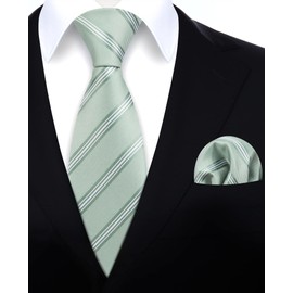 HISDERN Mens Ties Classic Sage Green Ties and Pocket Square Formal Business Stripe Necktie Handkerchief Cufflinks Set Wedding Party Neckties for Men