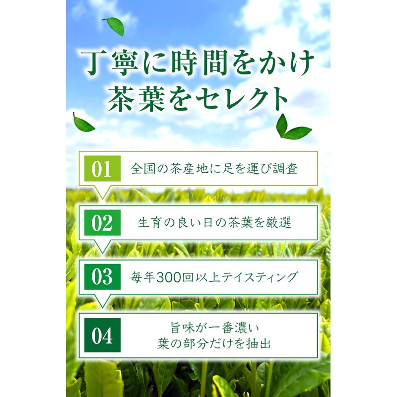 Shuho Tea Garden, Shizuoka Green Tea [Momidashi Kocha Tea Bag