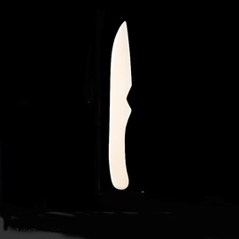 Bone Folder & Creaser Tool - Scoring, Folding for Origami, Paper Crafts, Bookbinding, Leather Crafts and Card Making & Folding Paper, White (100% Cattle Bone)