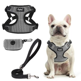 PUPTECK Comfortable Dog Vest Harness and Leash Set with Bags, Reflective Dog Harness Set, Step-in No Pull, Adjustable Breathable Mesh Dog Vest Harness, Grey M