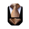 HISDERN Men's Check Dot Tie Handkerchief Wedding Party Necktie &