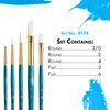 Princeton Real Value, Series 9100, Paint Brush Sets for Acrylic,