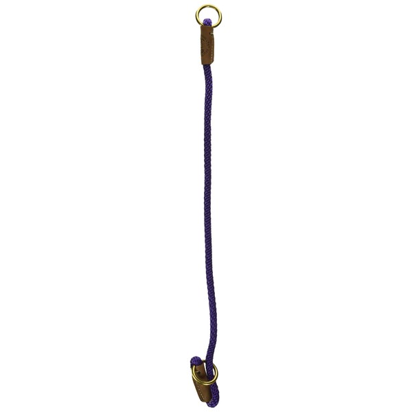 Mendota Pet Command Slip Collar - Dog Training Collar - Made in The USA - Purple - 22 in