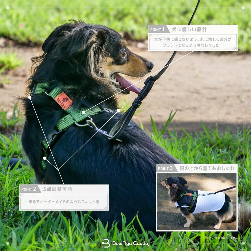 BowNya Cauda, Active Harness Blue Small