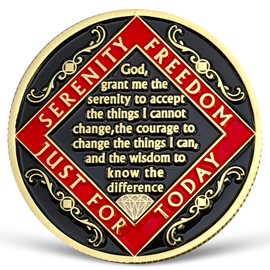 10 Year NA Medallion Ten Year Recovery Chip for NA AA 12 Step Narcotics Anonymous Coin Anniversary Token Clean and Sober Gifts for Men Women Celebrating Sobriety and Addiction Recovery