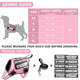 MOOGROU Service Dog Vest Harness and Leash Set+10 Patches,No Pull&Easy Walk Reflective Dog Harness with Soft Padded Handle for Training/Everyday,Fit Small/Medium/Large/Extra-Large Dogs(Pink S)