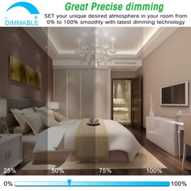 24-Pack Dimmable E12 LED Candelabra Bulbs 40Watt Equivalent, 5000K Daylight White, 450Lumens, 4W B11 Vintage Chandelier Light Bulbs, LED Filament Clear Glass Candle Lamp for Ceiling Fan Home Decor