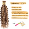TAOYEMY Deep Wave Bulk Braiding Hair 100g (1 Pack—2 Bundles)