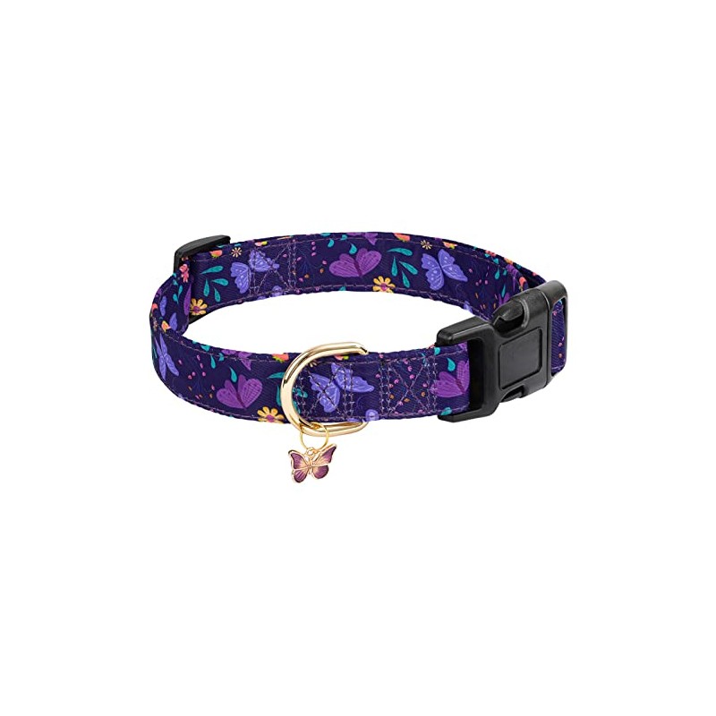 Collares de perro con hebilla ajustable para perros lindos, collar