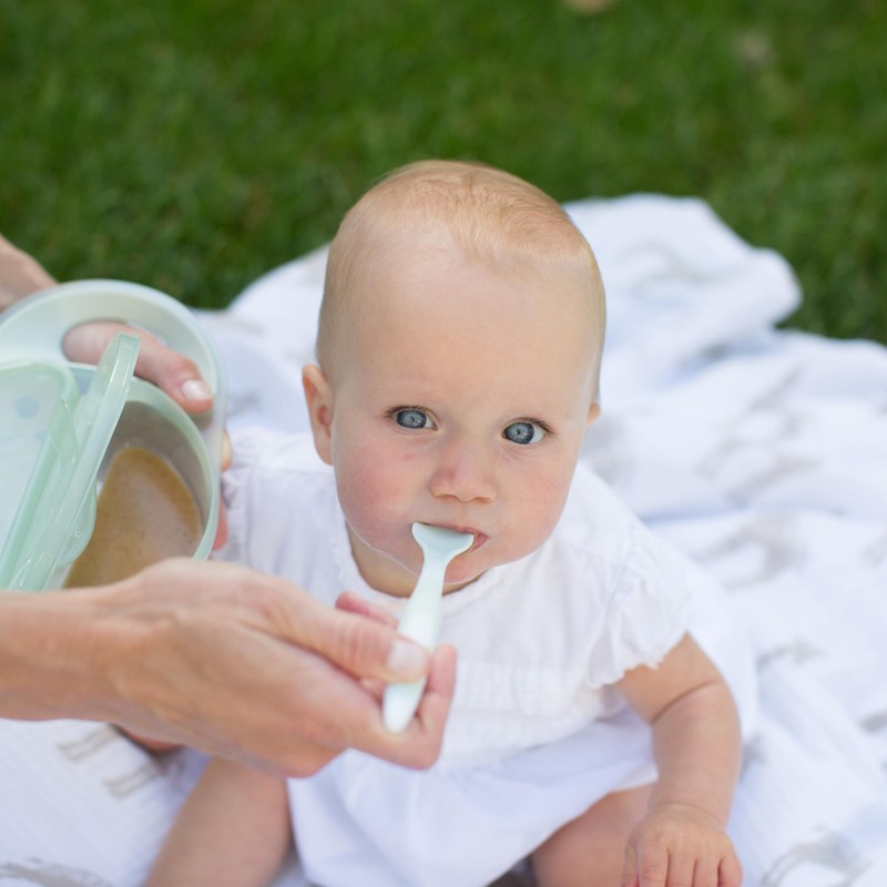 Dr. Brown's Travel Fresh Bowl and Snap-in Spoon for Toddler