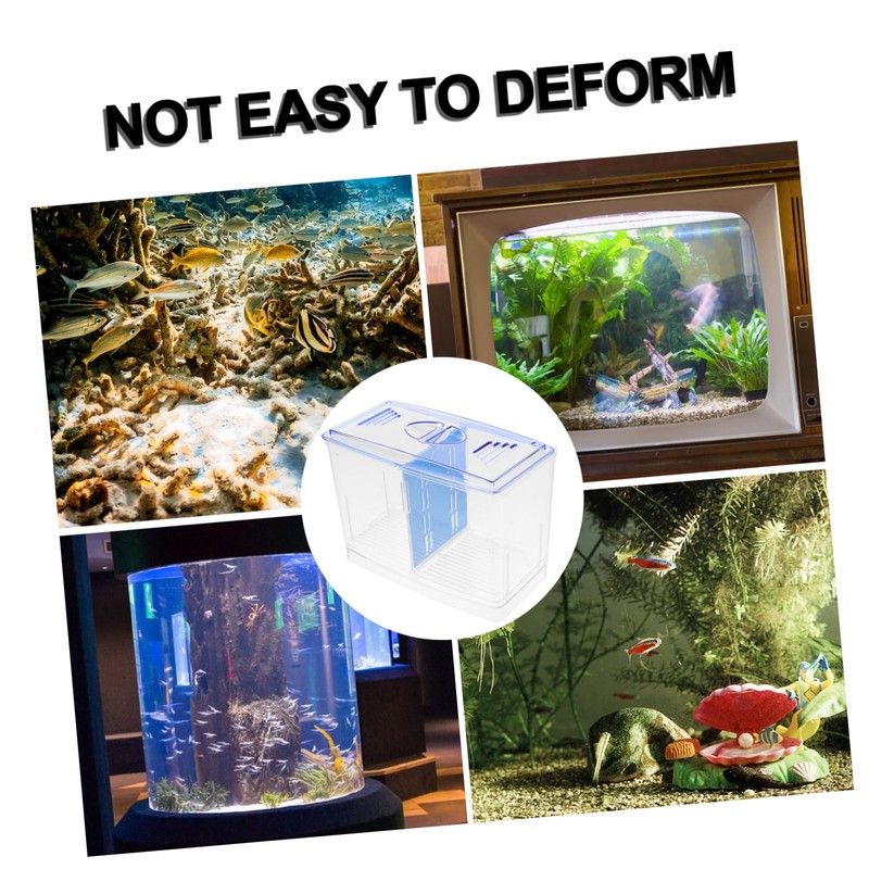 Sosoport Aquarium Fish Breeding Isolation Box Transparent Design Durable Construction