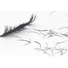 Lashmond Perfect Lash - J Curl Black Individual Eyelash Extensions