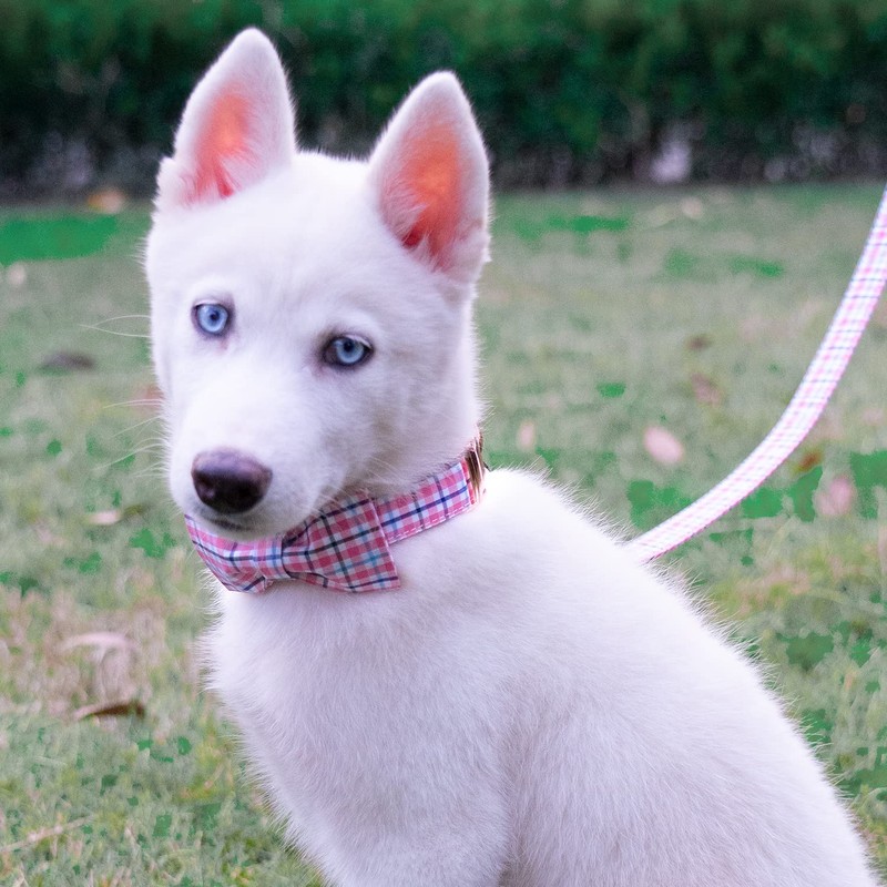 Tunkoo Dog Collar with Bow Tie Elegant Plaid Soft Comfy