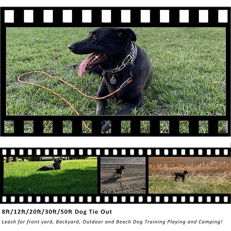 BTINESFUL Tie-Out Check Cord Long Rope Dog Leash, 8ft 12ft
