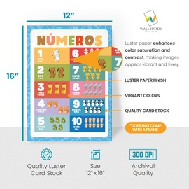 Wallbuddy 18 Educational Spanish Preschool Posters | Numbers Alphabets Colors Shapes Maps and More Spanish Classroom Decor | English Spanish Bilingual Learning Charts for Toddlers