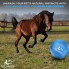 Herding Ball for Dogs and Horses, Dog Agility Toy, Horse