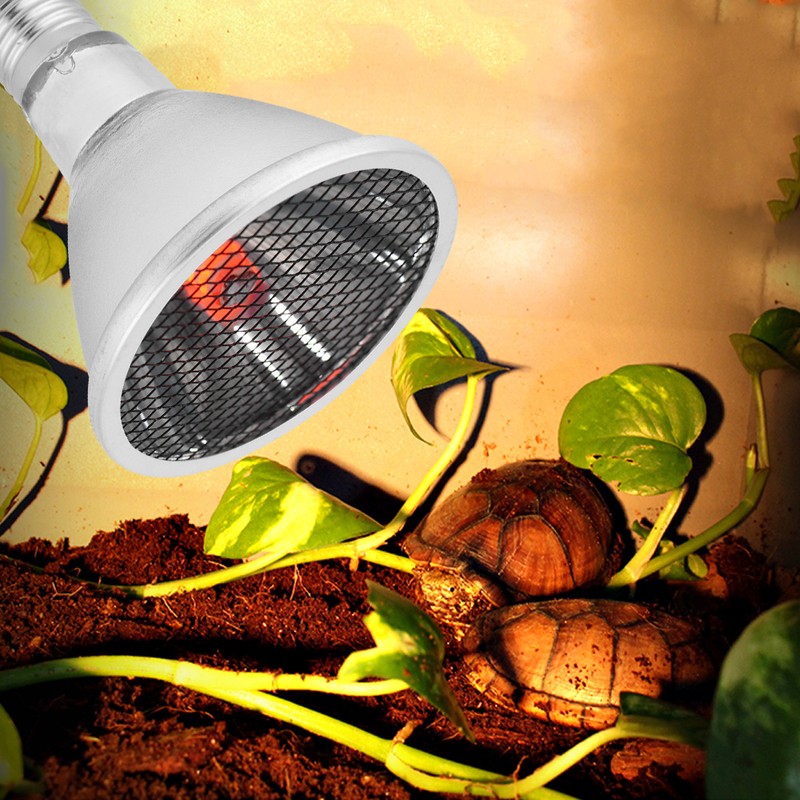 E27 Far Infrared Heating Lamp Heat Lamp Bulb Heating Night