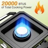 ODSD 2 Burner Camping Stove with Windshield, 20000 BTU Propane