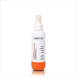 H2PRO Healing Blowout Spray - Fast-Absorbing Spray for Optimum Volume, Bounce, and Shine | Hydrates Dry and Damaged Hair | Black Diamond Healing Blow-Out, 5.1oz