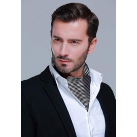 HISDERN Men's Wedding Ascot Tie Polka Dot Elegant Business Neckerchief, black / white