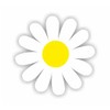 Sea View Stickers 18 Daisy Flower Stickers