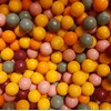 Tree Hugger1 Pound All Natural Bubble Gum Assorted Gumballs Citrus