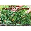 Magic Plant Farms Carolina Reaper SMOKED Pepper Powder - World's