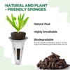 LetPot 172 Pcs Seed Pod Kits, Hydroponics Growing Sponges, Grow