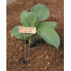 Luster Leaf 781 Classic Impressions 10-Inch Copper Garden Plant Label,