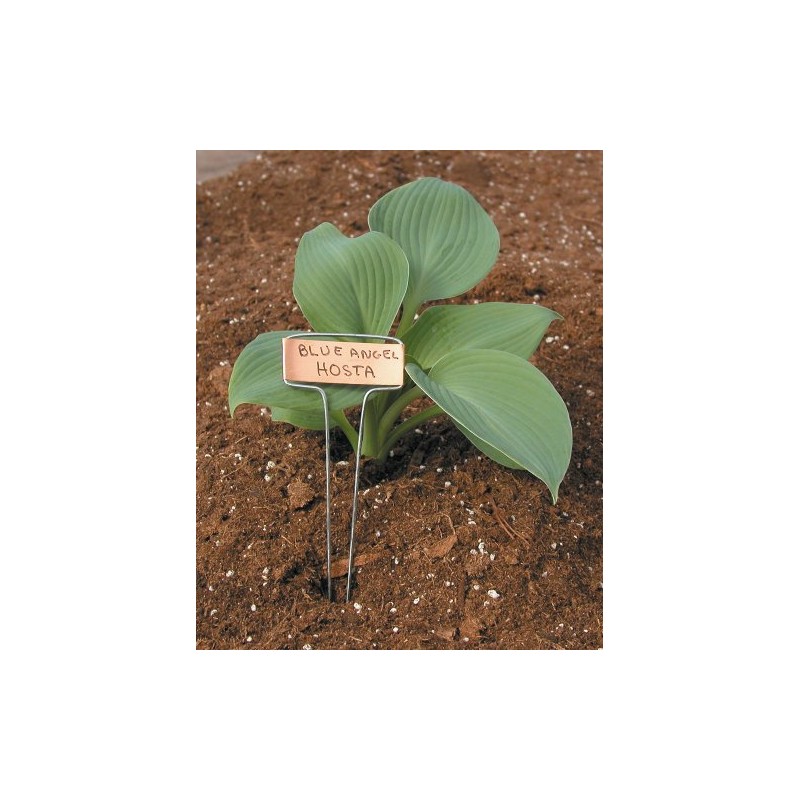 Luster Leaf 781 Classic Impressions 10-Inch Copper Garden Plant Label,