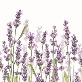 20 Serviettes Lavender Meadow Blooms | Flowers | Meadow | Summer | Table Decoration 33 x 33 cm